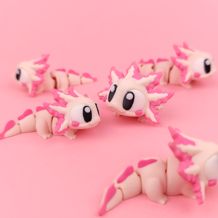 Axolotl