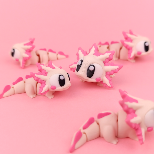 Axolotl