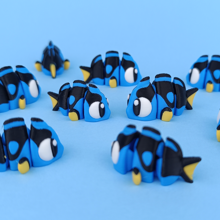 Tropical Fish & Aquarium