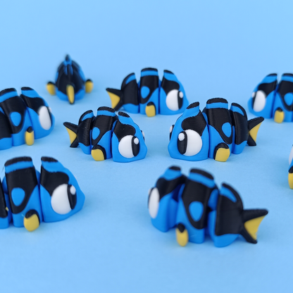 Tropical Fish & Aquarium