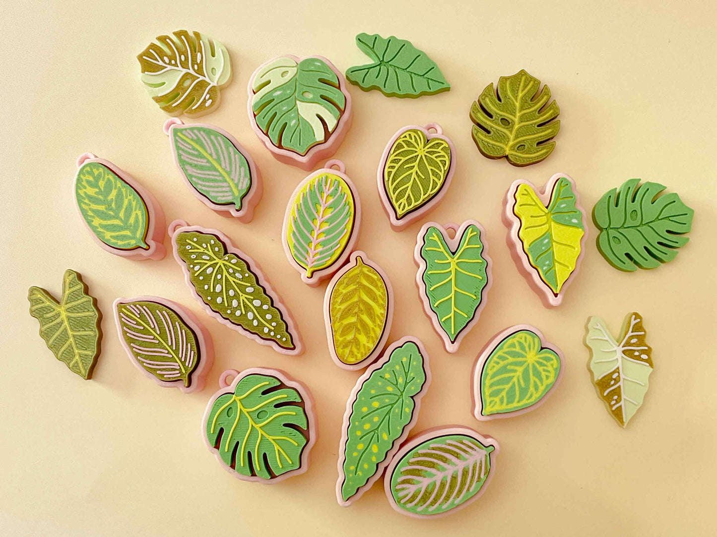 Houseplant Bundle – Set of 5 Clickable Plants