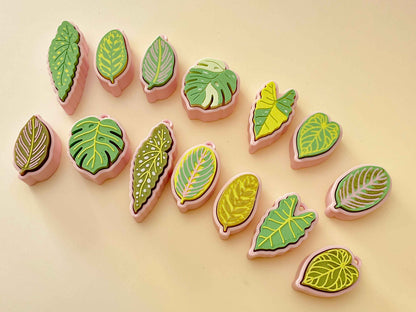 Houseplant Bundle – Set of 5 Clickable Plants