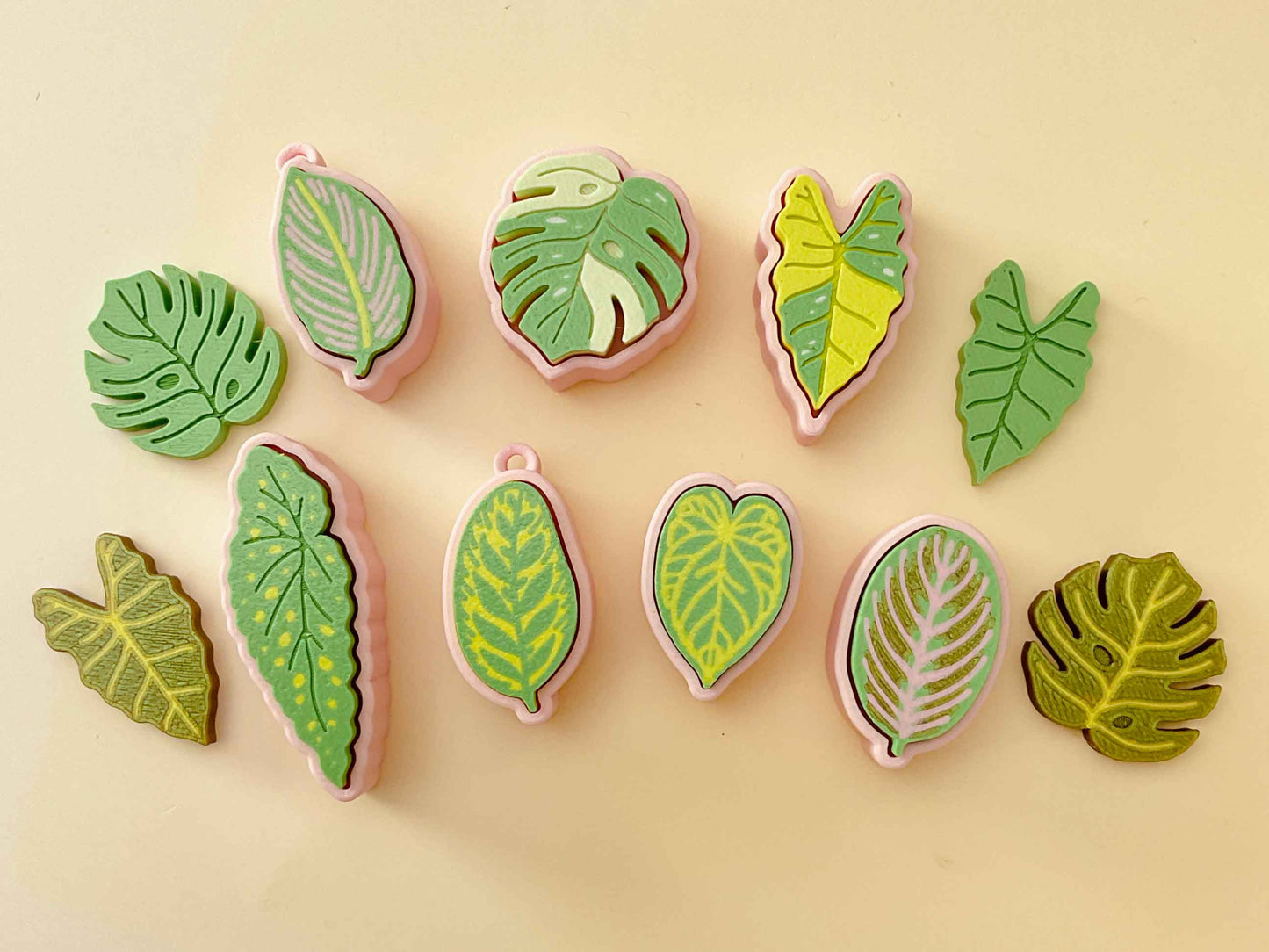 Houseplant Bundle – Set of 5 Clickable Plants