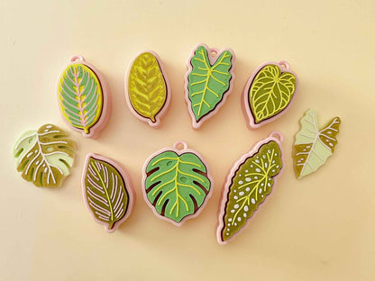 Houseplant Bundle – Set of 5 Clickable Plants