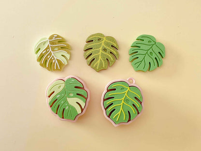 Houseplant Bundle – Set of 5 Clickable Plants