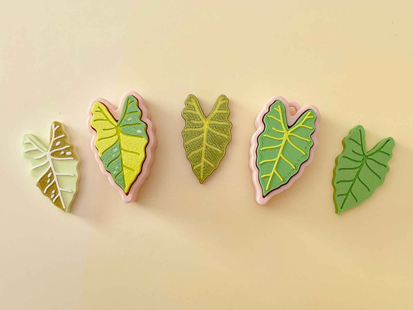 Houseplant Bundle – Set of 5 Clickable Plants