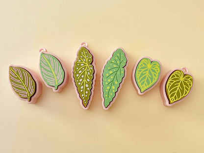 Houseplant Bundle – Set of 5 Clickable Plants