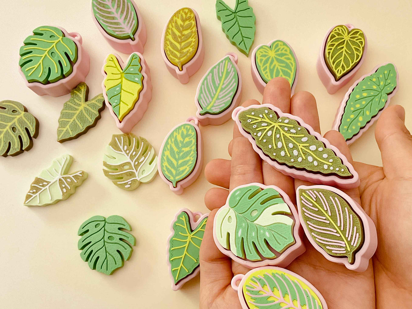 Houseplant Bundle – Set of 5 Clickable Plants